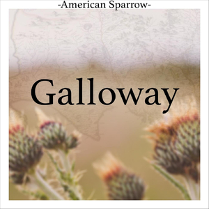 Galloway