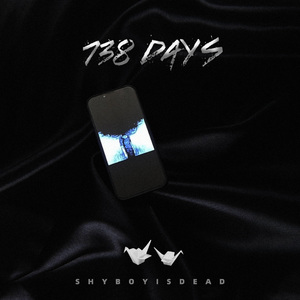 738 days (Prod.NeonMusic)