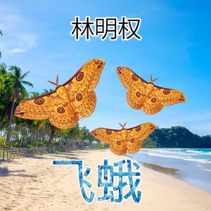飞蛾 (Demo Version)
