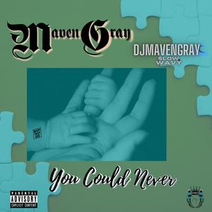 You Could Never (Slow & Wavy)