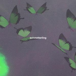 SCHMETTERLING