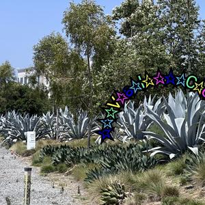Noticias Del Corazón