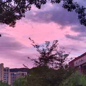 京剧《梨花颂》选段