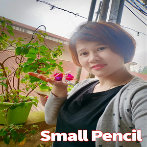 Small Pencil