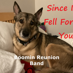 Since I Fell For You (Live)