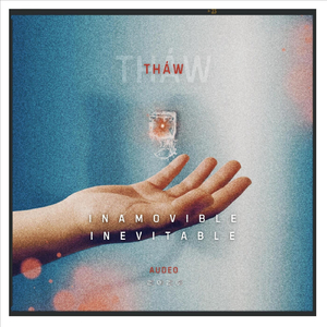 Inamovible Inevitable