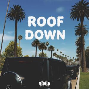 Roof Down