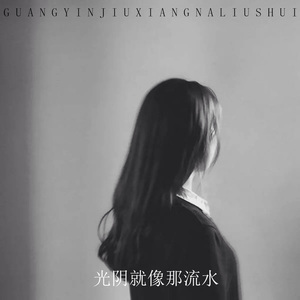 光阴就像那流水 (热播版)