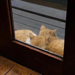 反面教材