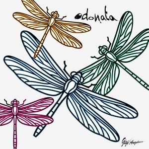 Odonata