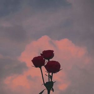 爱不思议（Prod.by 4Hunnid）