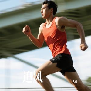 追风