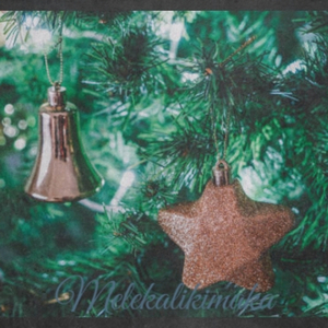 Santa Claus Is Watching You