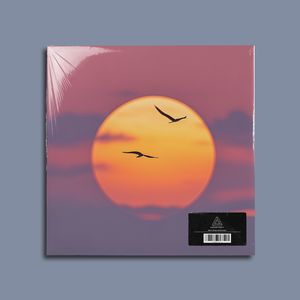 飞翔（Pop/Toosii Type Beat）