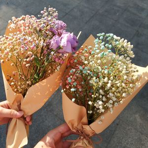 爱的回归线（电视剧《爱情公寓3》插曲）