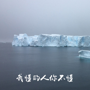 我懂的人你不懂