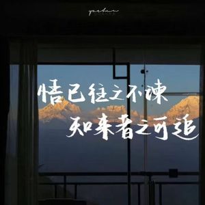 我不是你的宋冬野