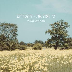 כי זאת את - התפוזים
