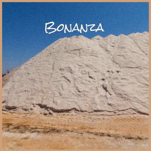 Bonanza
