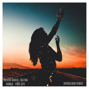 Past Life (DVRKCLOUD Remix)