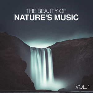 Sounds from the Sea 1: Sea Foam