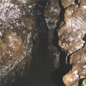 Flicker of the Ardent Light