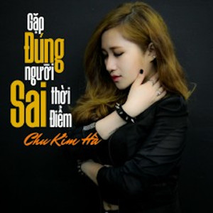 Tân Cổ Miền Trung Dấu Yêu - Short Version 2