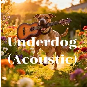 ปล่อยฉันไป (Acoustic Special Version)