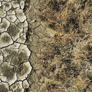 蓝色窗帘（Demo）