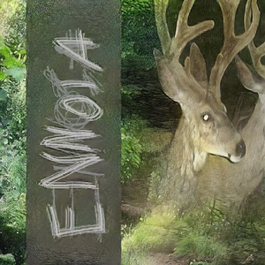 antler