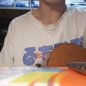 就让我在春风沉醉的夜晚老去吧