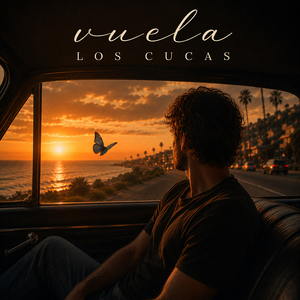 Vuela