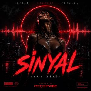 Sinyal