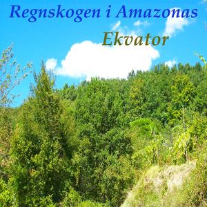 Regnskogen i Amazonas