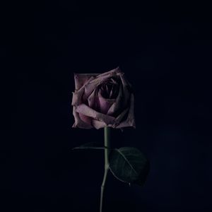 旅行者(prod byGOAT MUSIC)