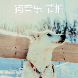 精彩(休息的狗)