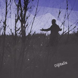 匿名的强盗（DIJITALIS Remix)