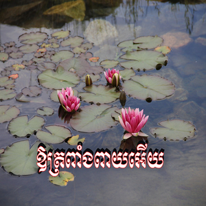 ឱត្រពាំងពាយអើយ