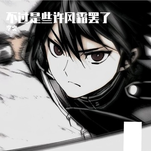 不过些许风霜罢了