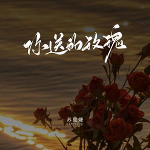 你送的玫瑰（校园广播版）