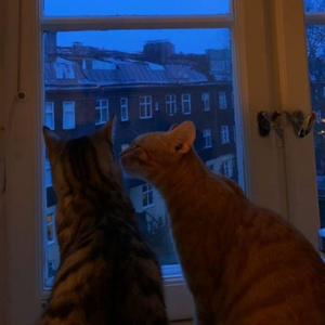 hadl (Instrumental Version)