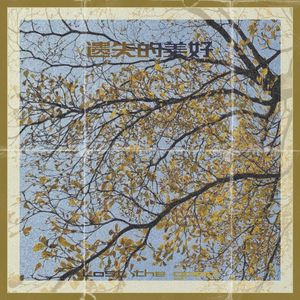 遗失的美好（Lost the good)