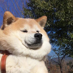 爱的暴风雨dj粤语（铃声）