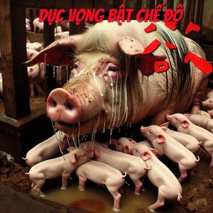 SHA ZHU PAN（杀猪盘）