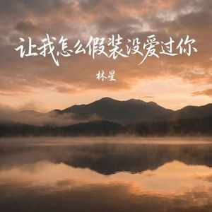 让我怎么假装没爱过你