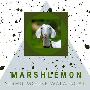 Sidhu Moose Wala Goat