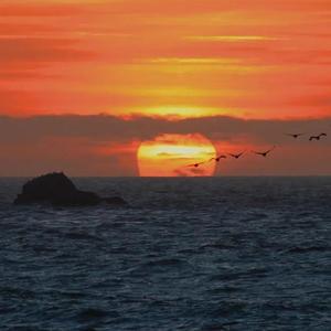 【free】情歌 type beat 海浪的晚霞