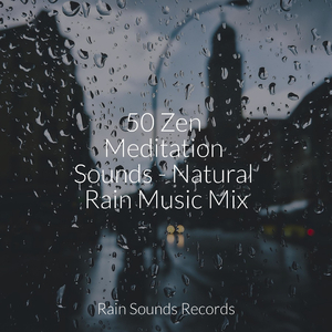 Whispering Wings over Blooming Fields