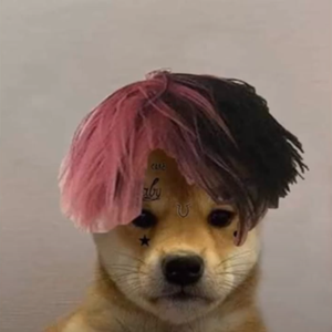 舔狗日记（Lick dog diary）