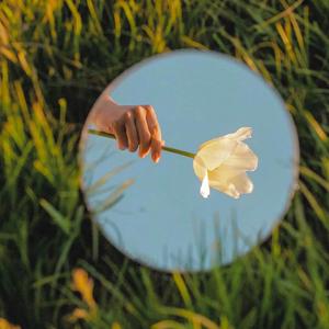 天顶一粒星（翻自 Tizzy T）